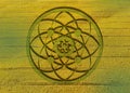 Crop circles on green grass, sacred geometry, esoteric Flower of Life, vector mystical sign isolated on green backgroun