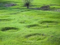 Crop Circles