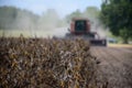 A crop of dried, ripened soybeans about to be cut Royalty Free Stock Photo