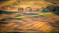 Crop duster completes a turn over The Palouse Royalty Free Stock Photo