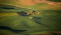 Crop duster over a wheat field in the Palouse Royalty Free Stock Photo