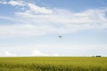 Crop duster spraying canola field Royalty Free Stock Photo