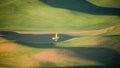 Crop Duster making a turn the Palouse Royalty Free Stock Photo