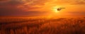 Crop duster plane flying over wheat field, farm airplane in cloudy sky on sunset. Agricultural cropduster machine Royalty Free Stock Photo