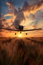 Crop duster plane flying over wheat field, farm airplane in cloudy sky on sunset. Agricultural cropduster machine Royalty Free Stock Photo