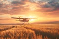 Crop duster plane flying over wheat field, farm airplane in cloudy sky on sunset. Agricultural cropduster machine Royalty Free Stock Photo