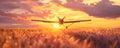 Crop duster plane flying over wheat field, farm airplane in cloudy sky on sunset. Agricultural cropduster machine Royalty Free Stock Photo