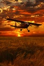 Crop duster plane flying over wheat field, farm airplane in cloudy sky on sunset. Agricultural cropduster machine Royalty Free Stock Photo