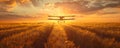 Crop duster plane flying over wheat field, farm airplane in cloudy sky on sunset. Agricultural cropduster machine Royalty Free Stock Photo