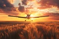 Crop duster plane flying over wheat field, farm airplane in cloudy sky on sunset. Agricultural cropduster machine Royalty Free Stock Photo