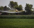 Crop Duster Spraying Bean Field Royalty Free Stock Photo