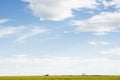 Crop duster spraying canola field Royalty Free Stock Photo