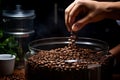 Crop farmer pouring coffee beans in container