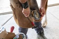 Crop farrier shoeing horse in daytime Royalty Free Stock Photo