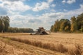 crop field, being harvested for biomass and bioenergy production