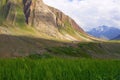 Crop field view near mountains. Himachal Pradesh Royalty Free Stock Photo