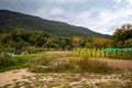 Crop field in the village of an elderly farmer under a cloudy sky with the colors of autumn