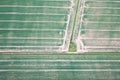Crop fields Royalty Free Stock Photo