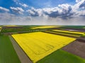 Crop fields with soybean. Aerial view Royalty Free Stock Photo