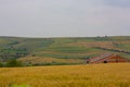 Crop fields on Tekirdag road.