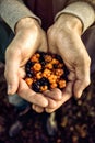 Crop hands with pile of berries