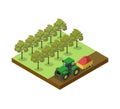 Crop harvesting in orchard isometric 3D element