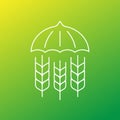 crop insurance line vector icon