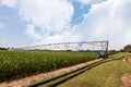 Crop Irrigation using the center pivot sprinkler system Royalty Free Stock Photo