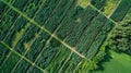 Crop Monitoring Using Satellite Imagery