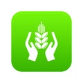 Crop protection icon green vector