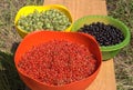 Crop of ripe green gooseberries, red currants and black currants in colof bowls Royalty Free Stock Photo