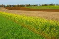 Crop rotation fields fall season landscape Royalty Free Stock Photo