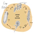 Hand draw sketch vector crop rotation series.