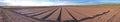 Crop Rows - Panorama