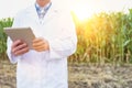 Crop scientist in lab coat using digital tablet against corn field