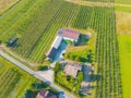 Crop sprayer traktor spraying pesticide or herbicides field. Wind turbines on background. Modern agriculture. Leasing of tractors