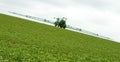 Crop Spraying in field