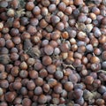 crop of a surface coated with the hazelnuts