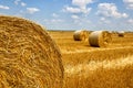 Crop wheat rolls of straw in a field