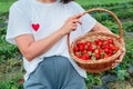 Crop woman put strawberries in basket