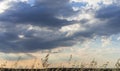 Cropfield Sky with clouds and sunlight at sunset. colorful and c