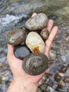 Croping hand holding rock with river view Royalty Free Stock Photo