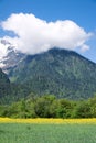 Cropland in mountain