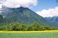 Cropland in mountain