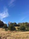 Croplands in august