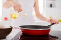 Cropped close up photo of chef woman frying pan olive oil prepare tasty ecological supper on stove in kitchen house Royalty Free Stock Photo