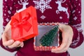 Cropped close up photo portrait of curious teenager taking giving receiving present with small green tree with snow