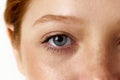 Cropped close-up portrait of beautiful female freckled face, blue eyes looking at camera against white studio background Royalty Free Stock Photo