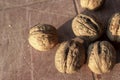 Cropped close-up shoot of batch of walnuts on the bag at sunset time Royalty Free Stock Photo