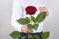 Cropped closeup photo of handsome cheerful husband holding beautiful fascinating flower in hand giving to you isolated grey Royalty Free Stock Photo